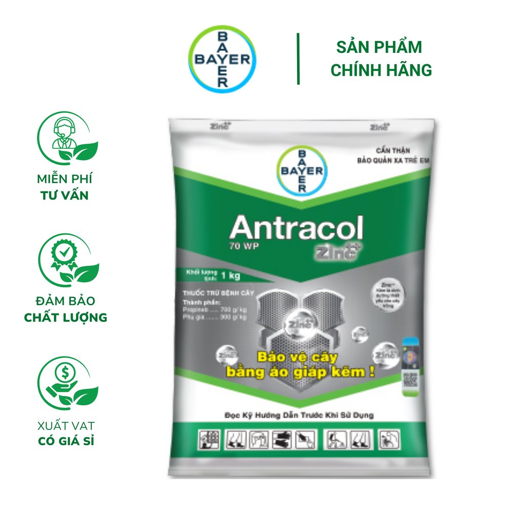 Antracol 70WP - Phòng ngừa nấm bệnh, tăng cường đề kháng cây trồng