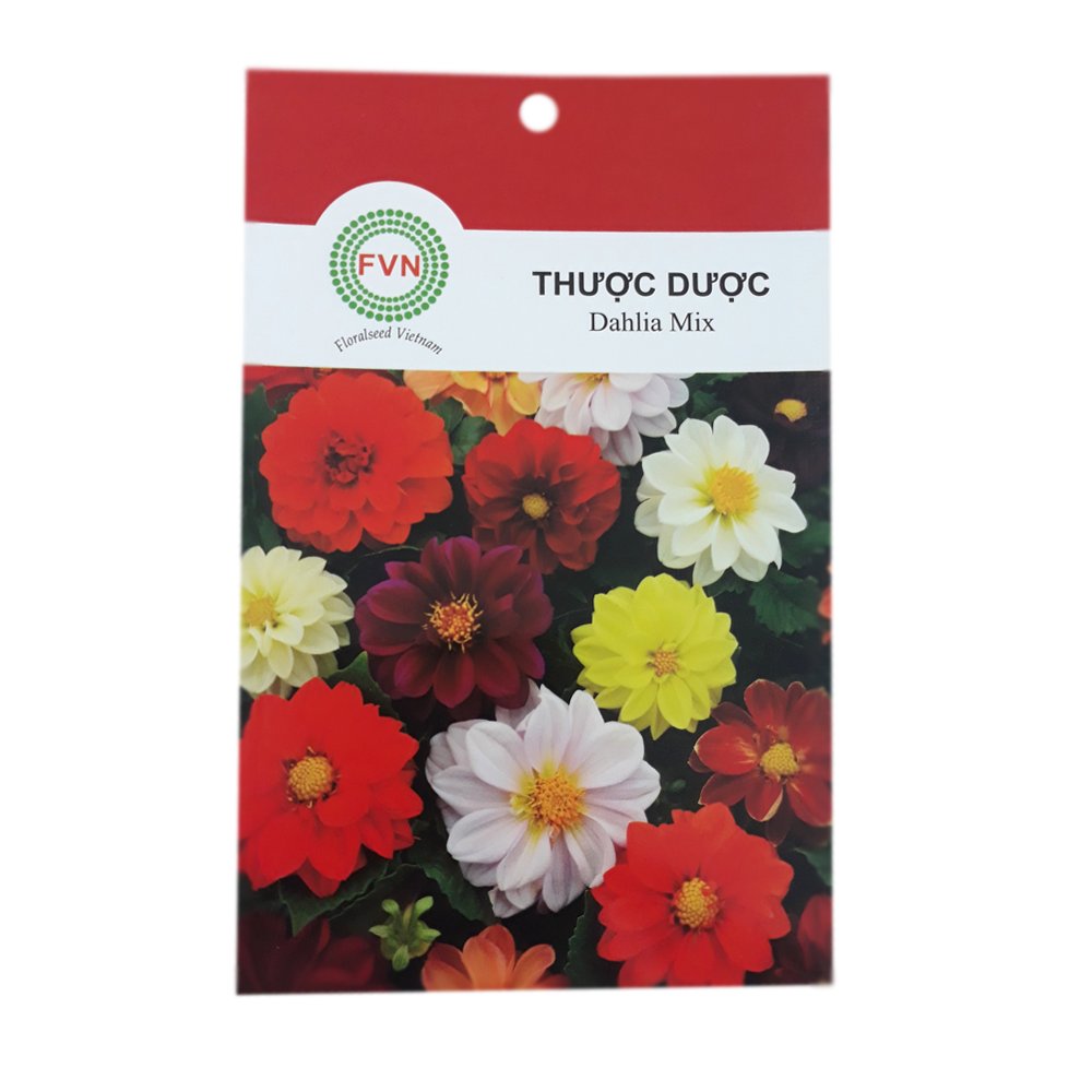 Hạt giống Hoa Thược Dược Lùn Nhiều Màu FVN - Gói 15 hạt
