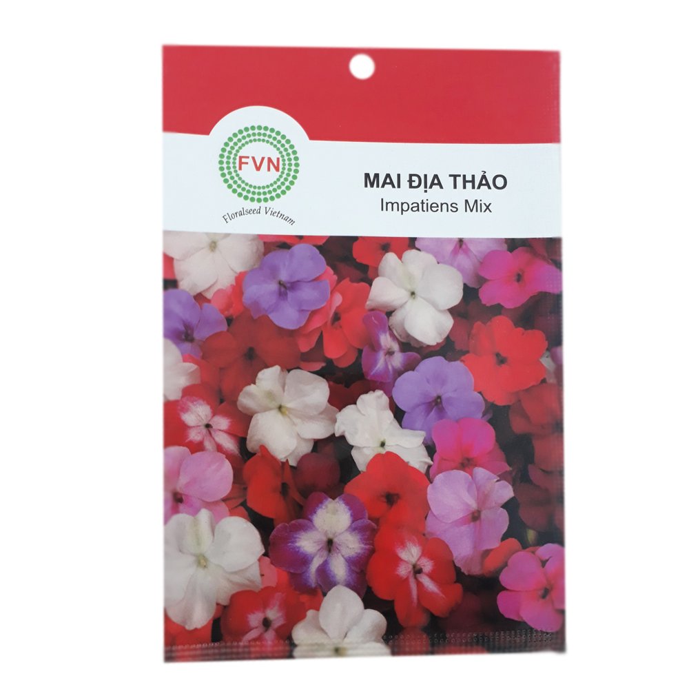 Hạt giống hoa Mai Địa Thảo Đơn Nhiều Màu FVN - Gói 15 hạt