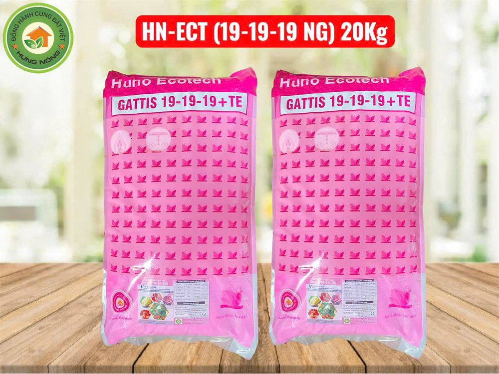 Phân Bón Nhỏ Giọt HN-ECT (19-19-19 NG) 20KG – GATTIS 19-19-19 + TE