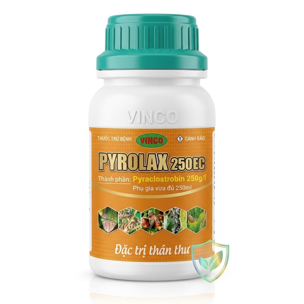 PYROLAX 250EC - GIẢI PHÁP VƯỢT TRỘI - ĐẶC TRỊ THÁN THƯ TRÊN CÂY ĂN QUẢ VÀ RAU MÀU.