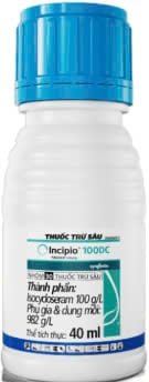 INCIPIO 100DC - Chai 40ml