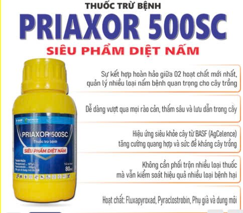 Thuốc Trừ Bệnh PRIAXOR 500SC – Siêu Phẩm Diệt Nấm (Chai 80ml)