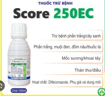 SCORE 250EC