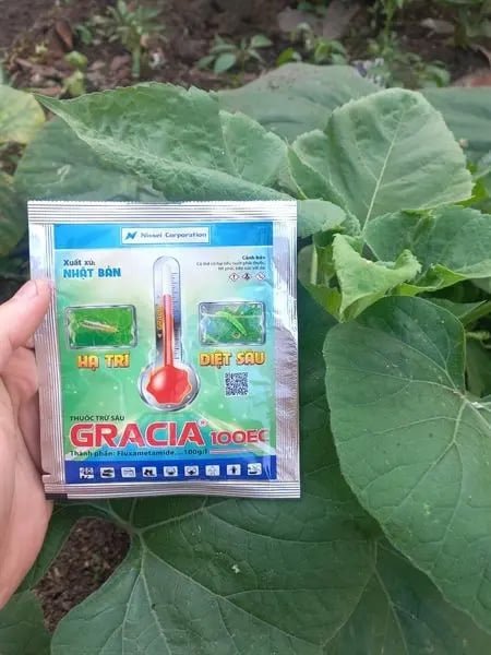 Thuốc Trừ Sâu Gracia 100EC - Xuất xứ Nhật Bản - Hạ Trĩ & Diệt Sâu