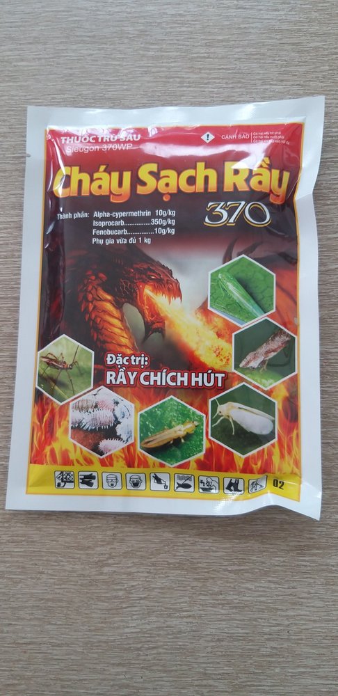CHÁY SẠCH RẦY 370