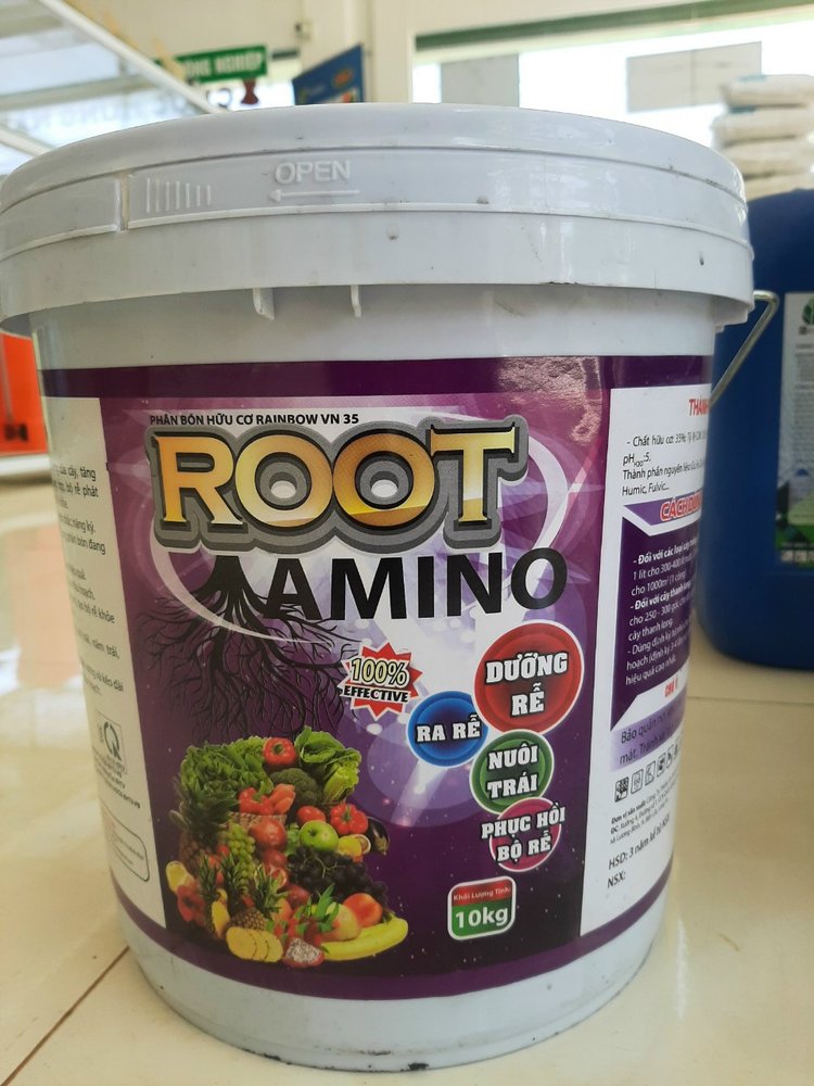 ROOT AMINO