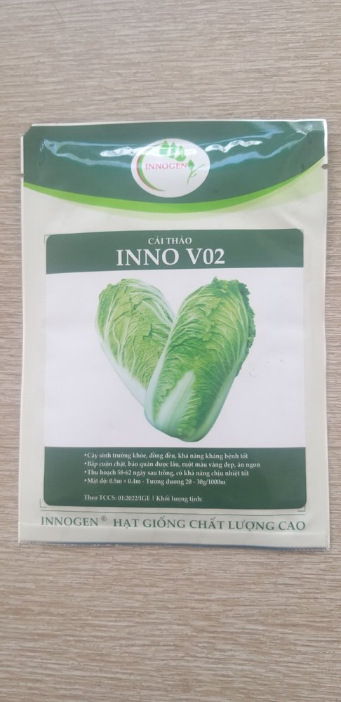 Hạt giống Cải thảo INNO VO2