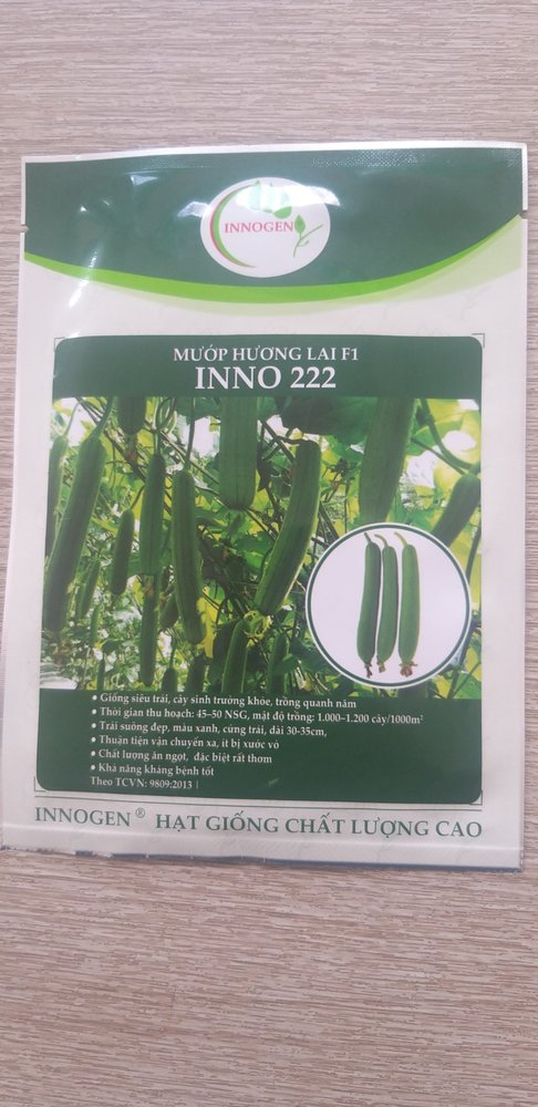 Mướp hương lai F1 INNO 222