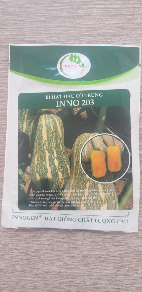 Bí hạt đậu cổ trung INNO 203