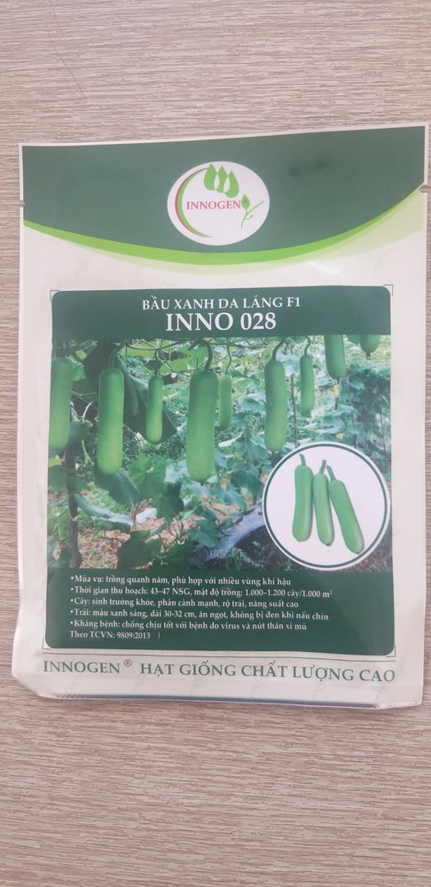 Bầu xanh da láng F1 INNO 028
