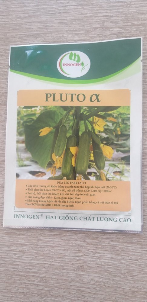 Dưa leo BABY LAI F1 - PLUTO ALPHA
