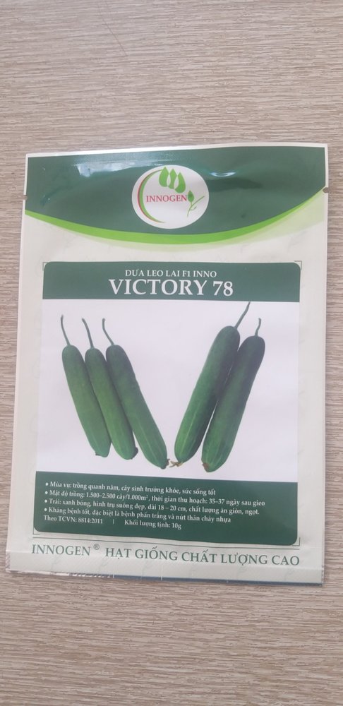 Dưa leo lai F1 INNO VICTORY 78