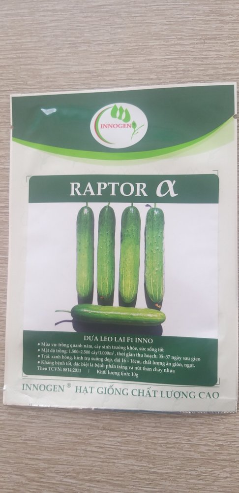 Dưa leo RAPTOR &