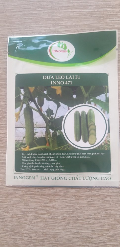 Dưa leo INNO 471
