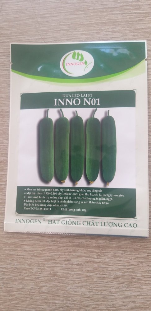 Dưa leo INNO N01