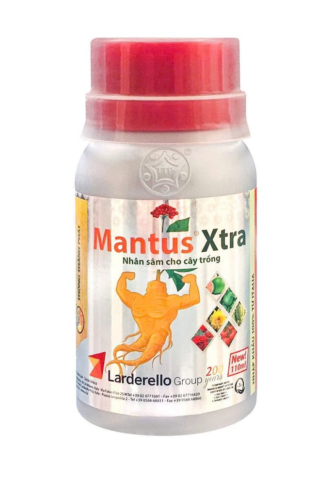 Mantus