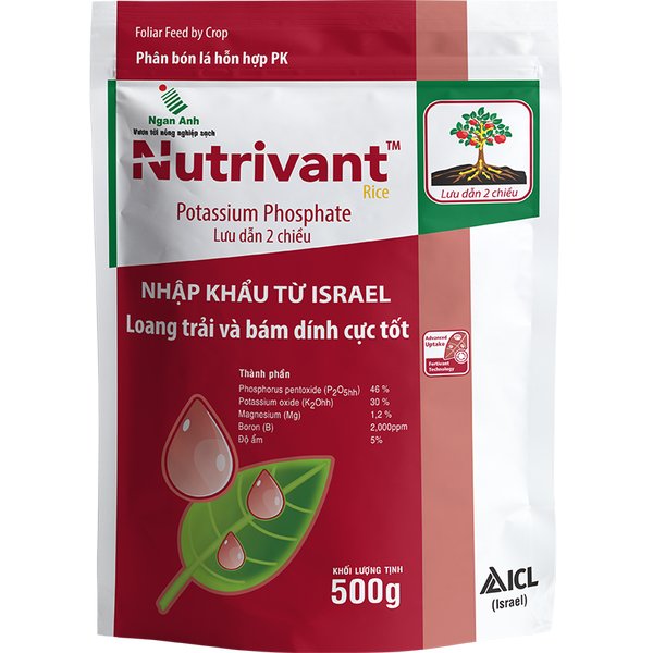 Nutrivant Rice – Phân bón lá PK Israel, tăng năng suất lúa