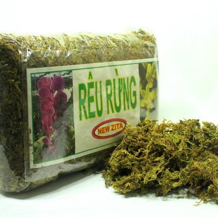 Giá Thể Rêu Rừng Trồng Lan New Zita