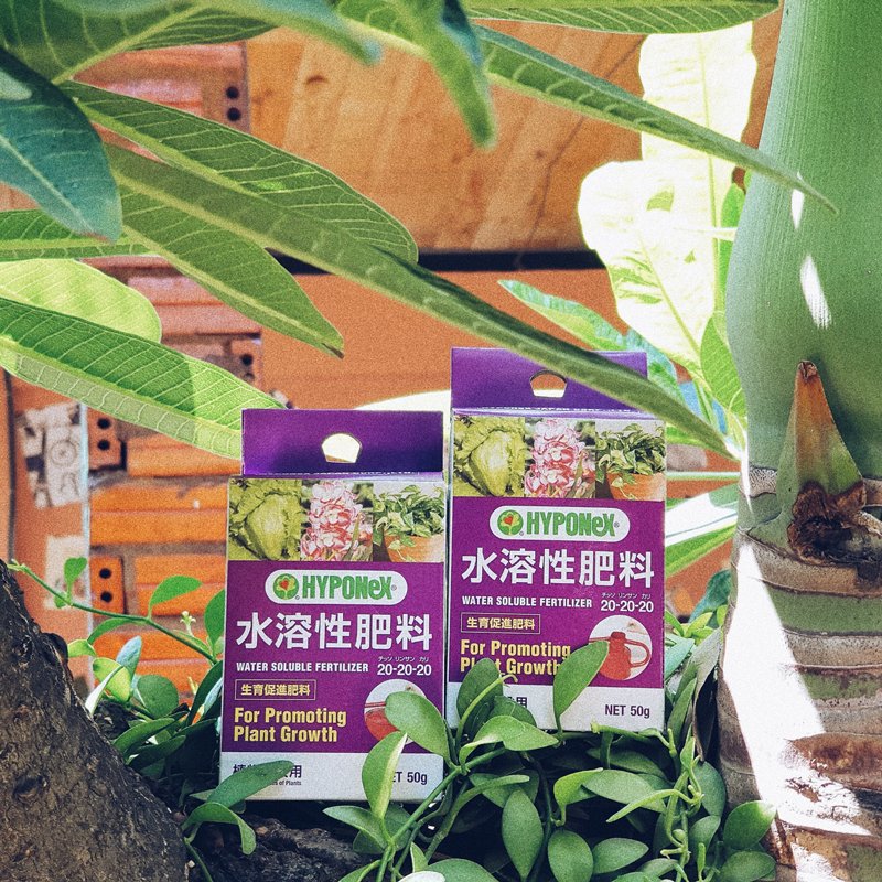 Phân bón hoà tan HYPONeX N-P-K 20-20-20