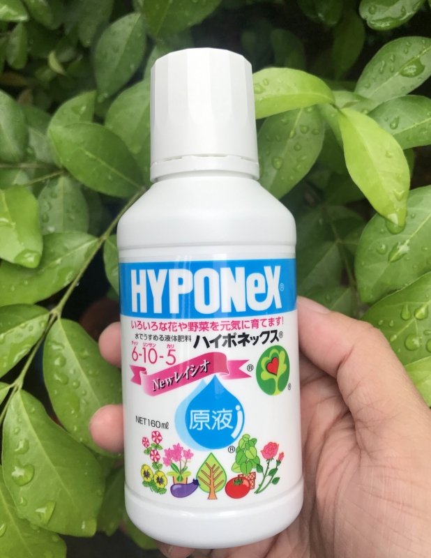 Phân bón kích hoa NPK 6-10-5 (160ml) – Dung dịch dinh dưỡng cao Lân, giúp cây ra hoa, đậu quả, lá tươi sáng
