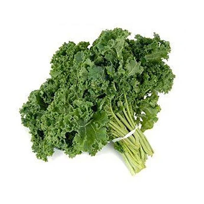 Hạt Giống Cải Xoăn - Kale 82