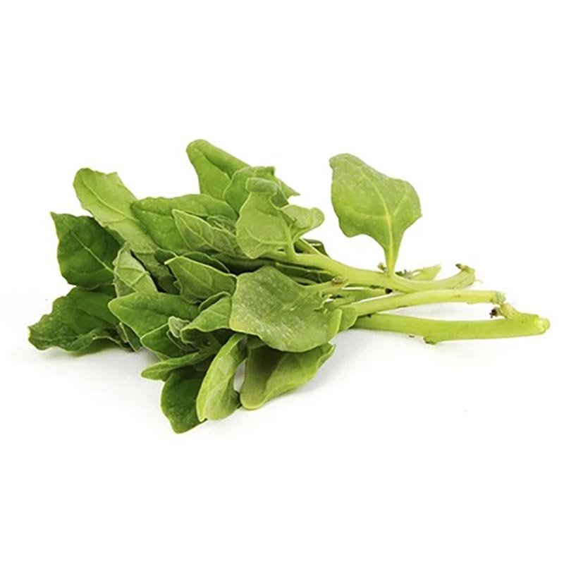 Hạt Giống Rau Spinach Galaxy