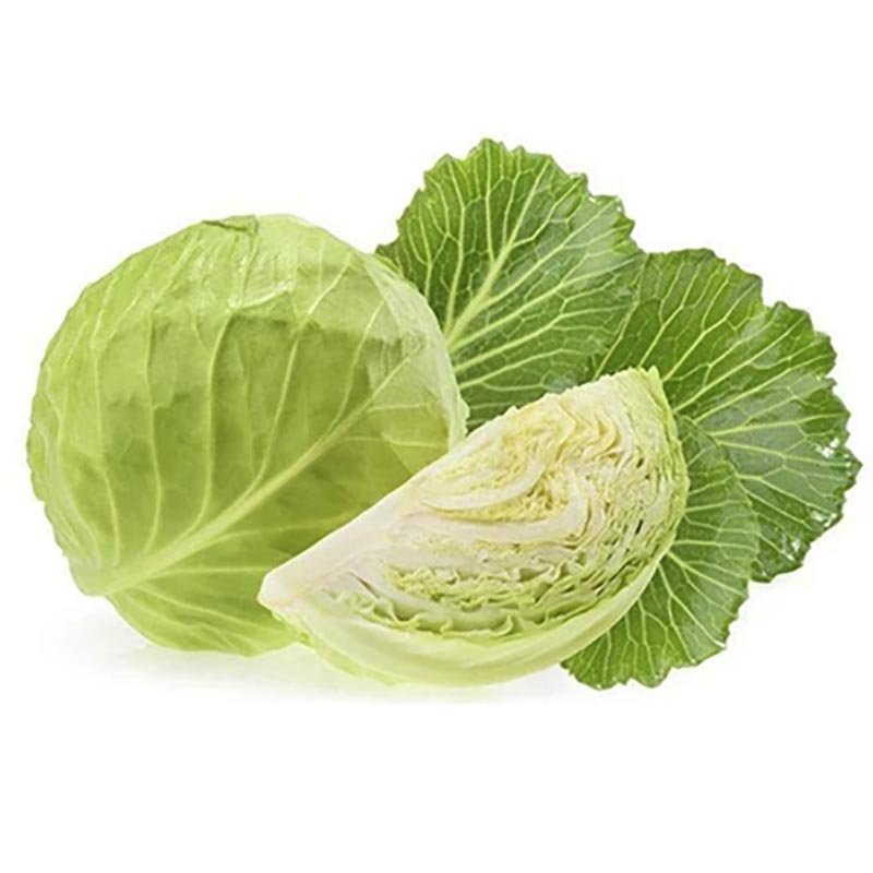 Hạt Giống Bắp Cải Trắng - Monte F1