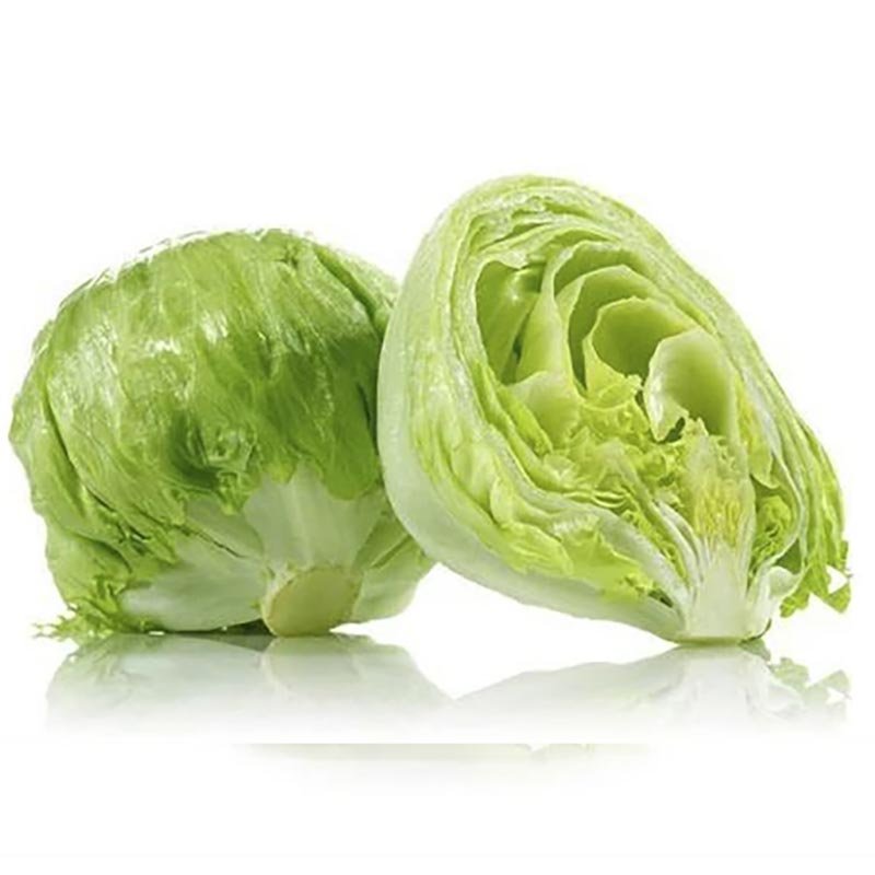 Hạt Giống Xà lách - Iceberg Samara - Xuất Xứ: Israel