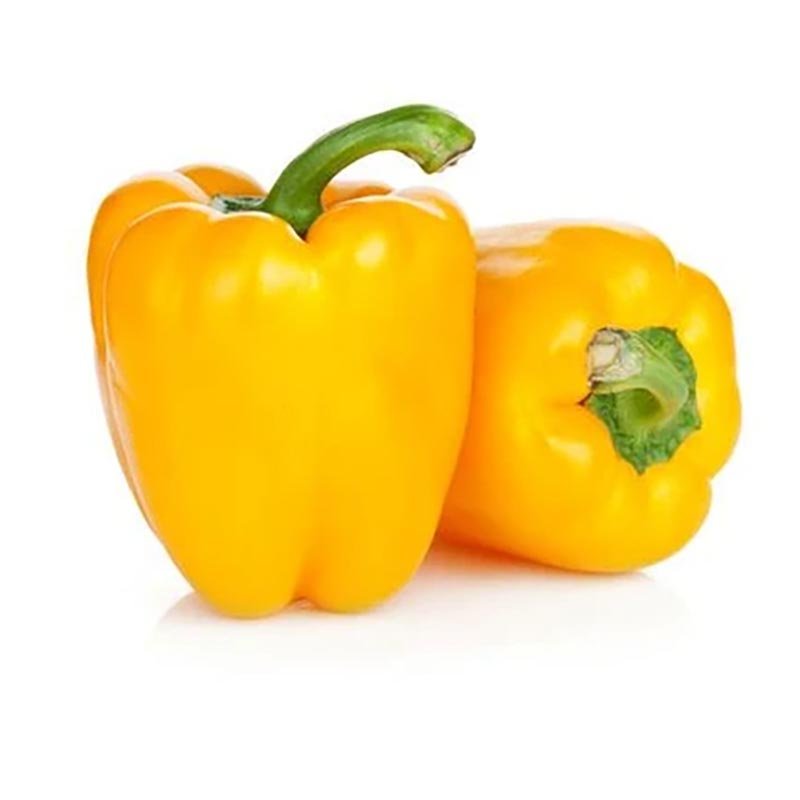 Hạt Giống Ớt Chuông Vàng Lamyo Yellow
