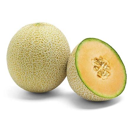 Hạt Giống Dưa Lưới - Justin