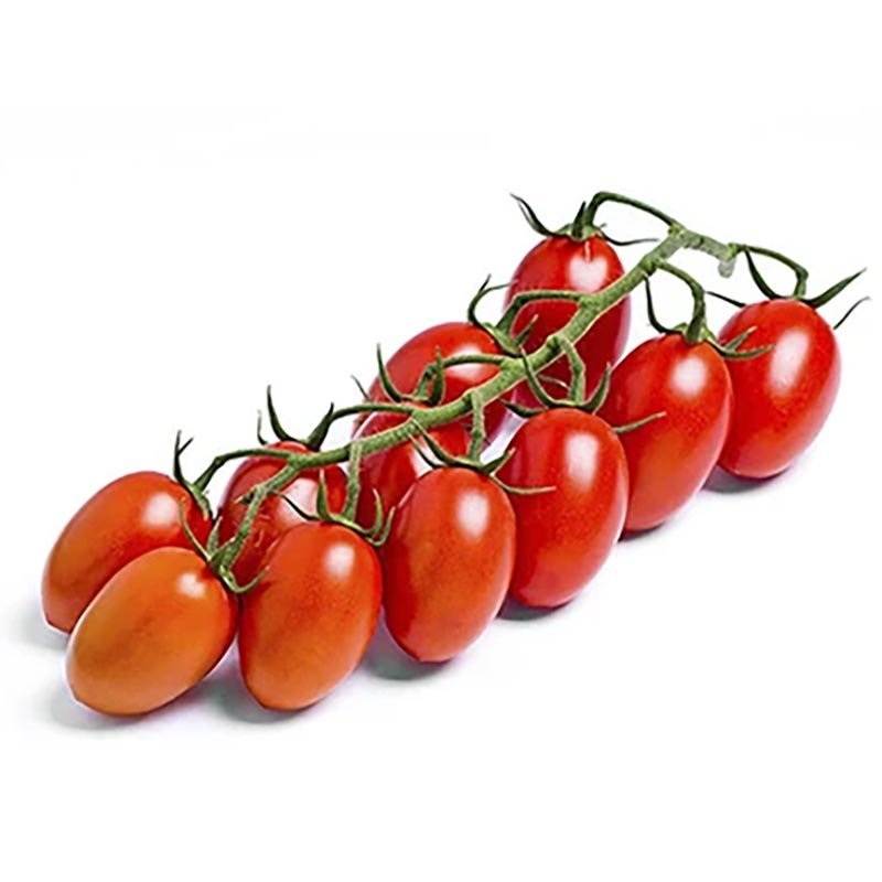 Hạt Giống Cà chua ORS 1403