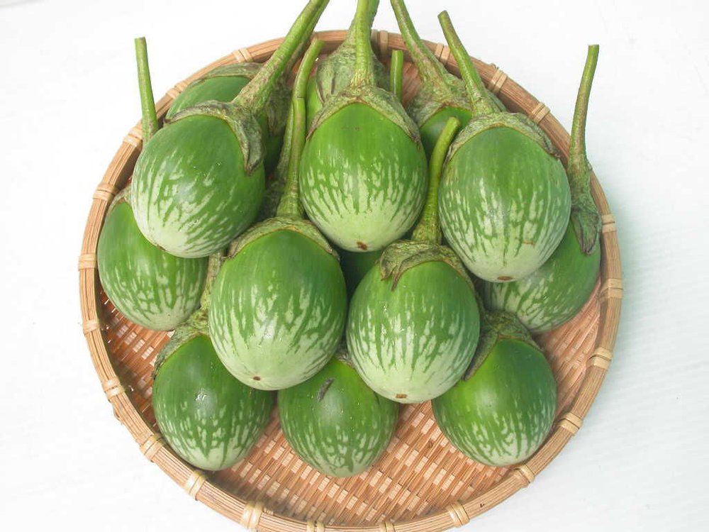 Hạt Giống Cà Xanh Trứng INNO-804