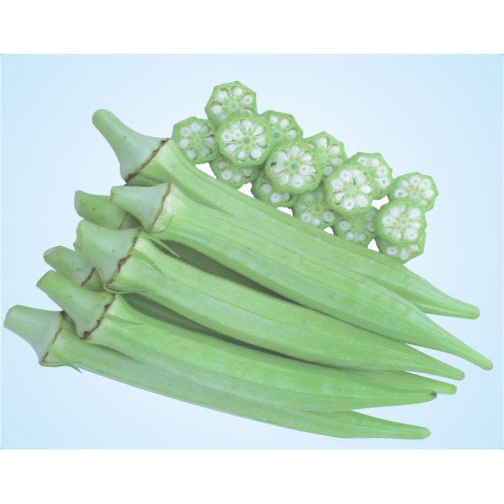 Hạt Giống Đậu Bắp Cao Sản INNO-400