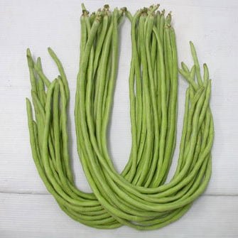 Hạt Giống Đậu Đũa Hạt Trắng Đỏ INNO-522