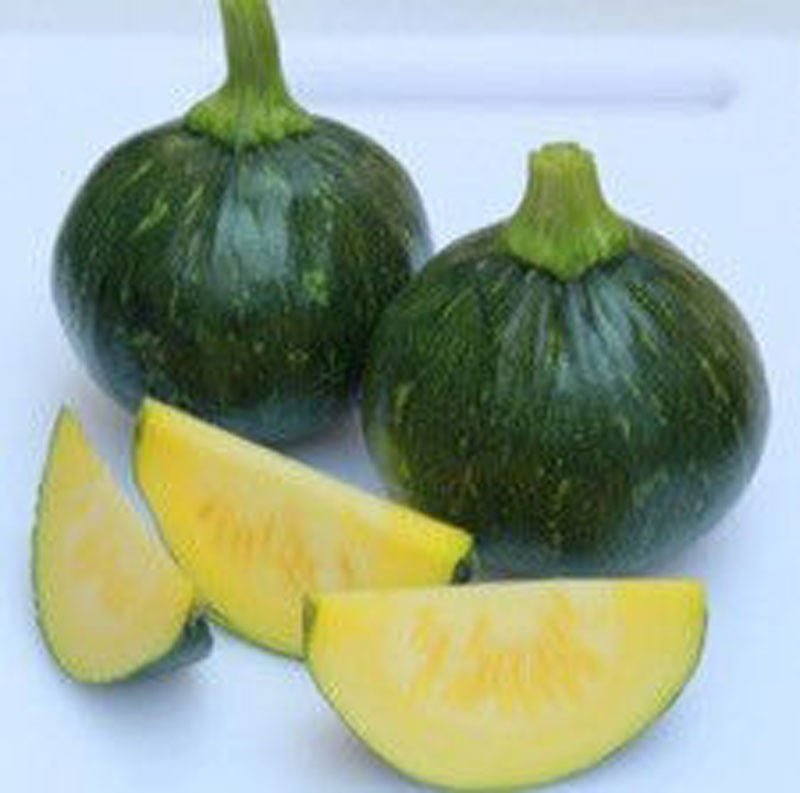 Hạt Giống Bí Ăn Non - INNO 303