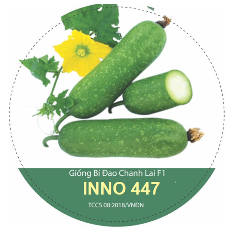 Hạt Giống Bí Đao Xanh INNO 447
