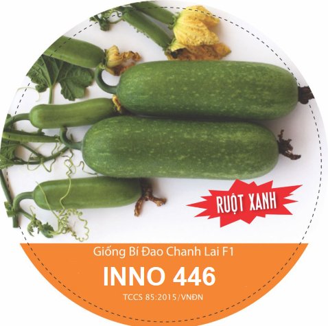 Hạt Giống Bí Đao Xanh INNO 446