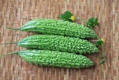 Hạt Giống Khổ Qua Rừng INNO W55