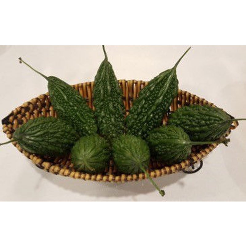 Hạt Giống Khổ Qua - INNO I45
