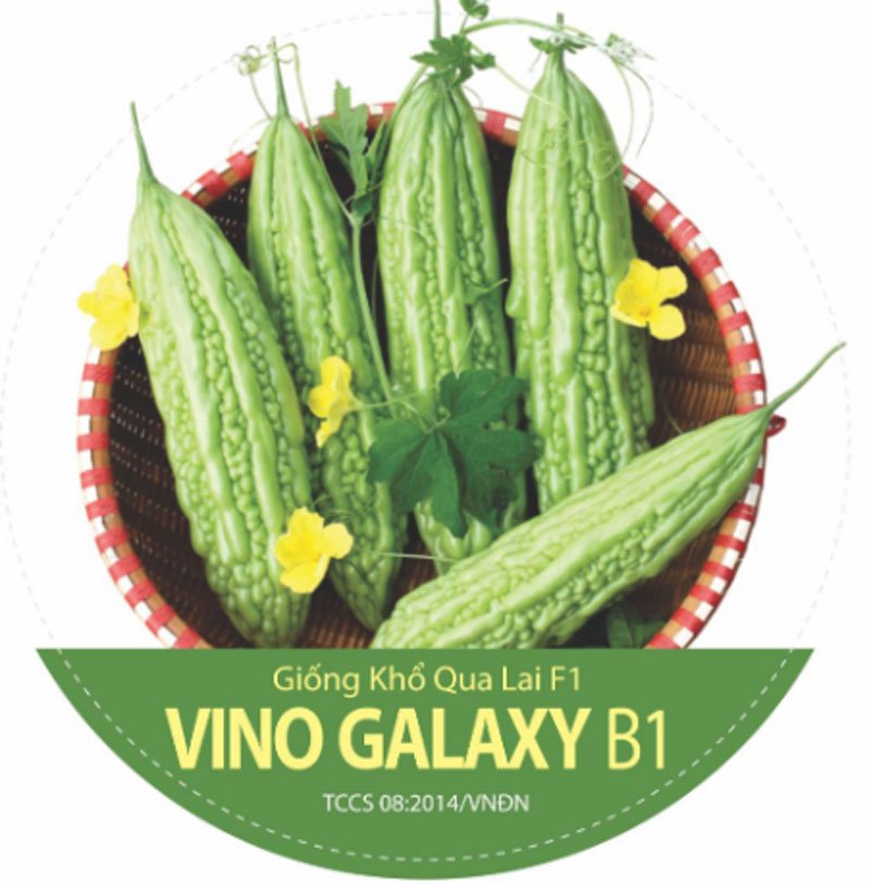 Hạt Giống Khổ Qua Lai F1 Vino Galaxy B1