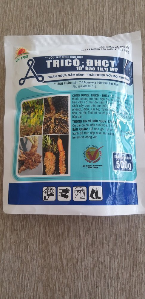 TRICÔ - ĐHCT  Phytoph 108 bào tử/g WP - Nấm Đối Kháng Tricoderma - Thuốc Trừ Bệnh Sinh Học Nấm TRICHODERMA