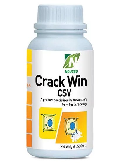 PHÂN SINH HỌC CRACK WIN - CSV