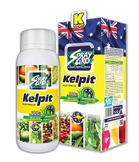 KELPIT - Phân Bón Kích Thích Sinh Trưởng Tự Nhiên, Kích Rễ, Đậu Trái