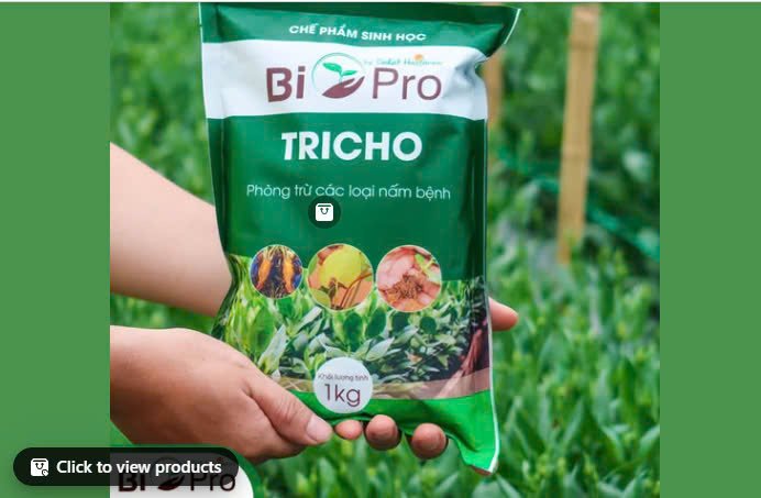 BIO-PRO TRICHO - Kiểm soát và ngăn ngừa các loại nấm bệnh gây hại cho cây trồng