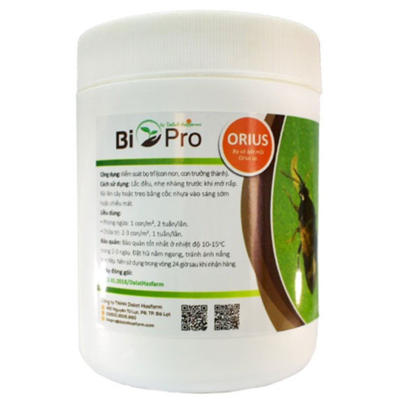 BIO-PRO ORIUS L - Kiểm soát Bọ trĩ ở cả giai đoạn con non lẫn con trưởng thành bằng thiên địch