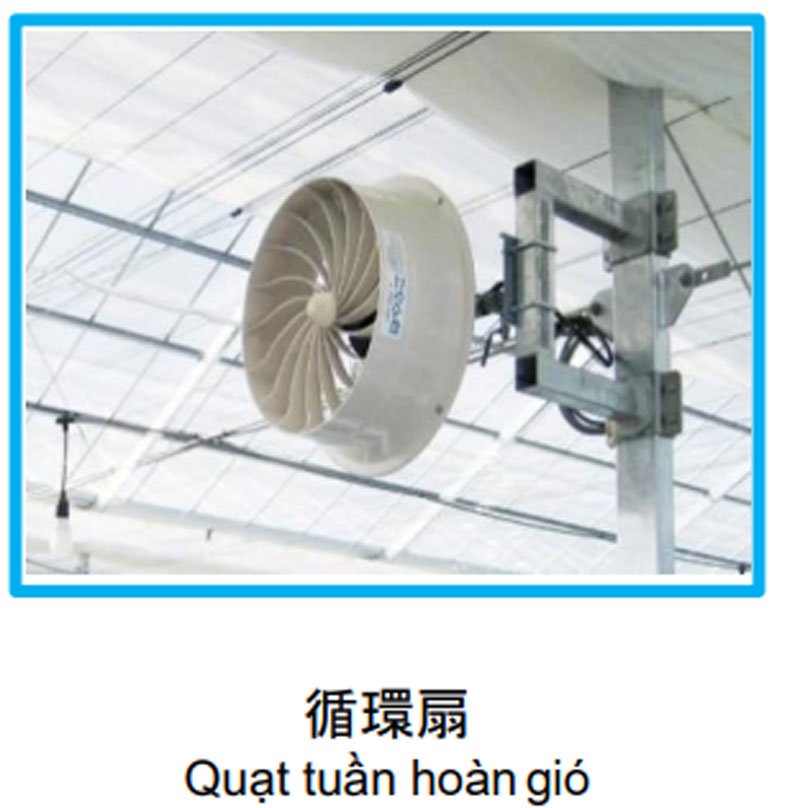 Quạt Tuần Hoàn Gió Nhà Kính