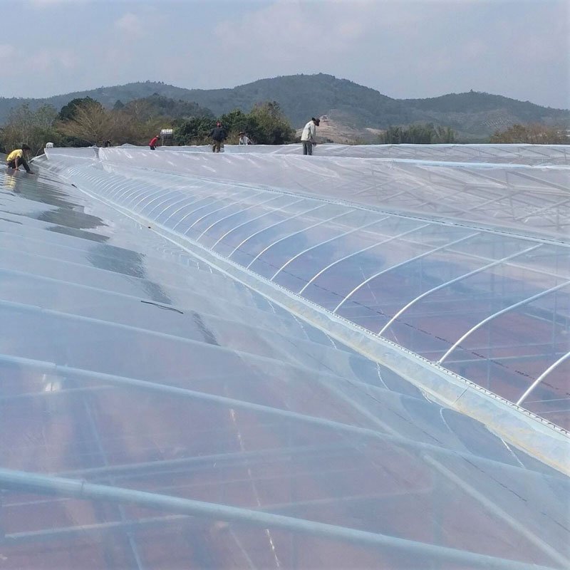 Màng Nilon Nhà Kính - Xuất xứ Nhật Bản
