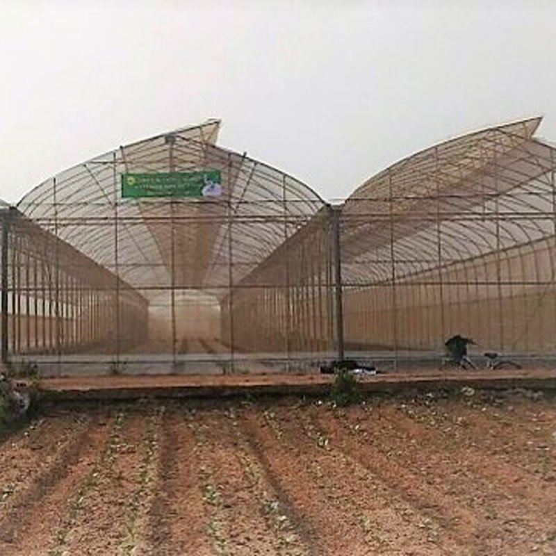 Nhà Kính Nhật Bản:  Kiểu nhà chân rết – Pipe house UK