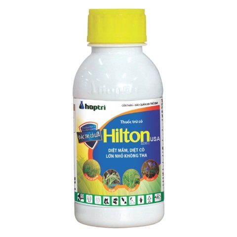 Hilton USA 320 EC